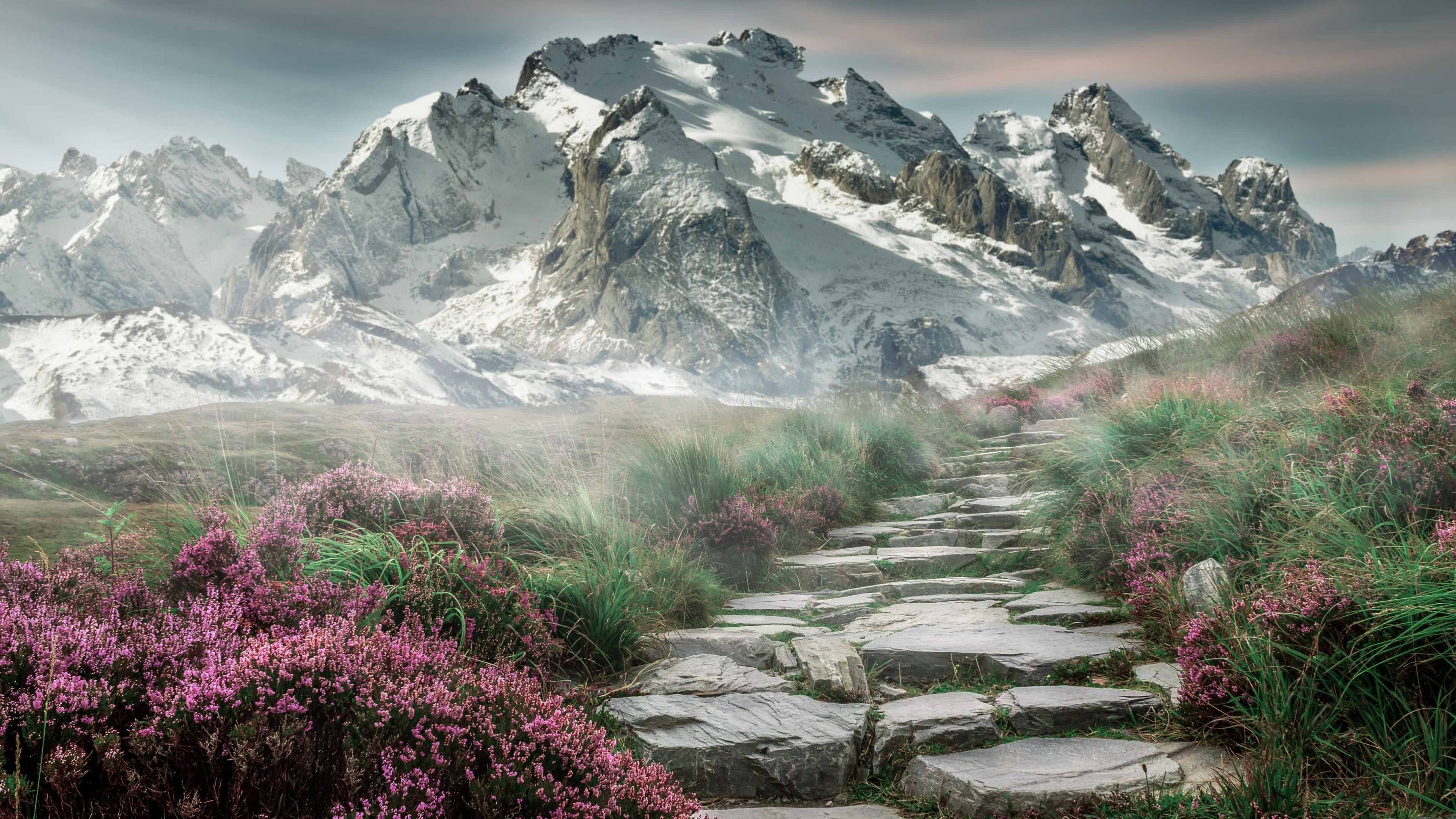 官方娱乐平台-全新升级，智领未来，v7.2.5 新版正式发布，2026年6月28日开启智能新纪元